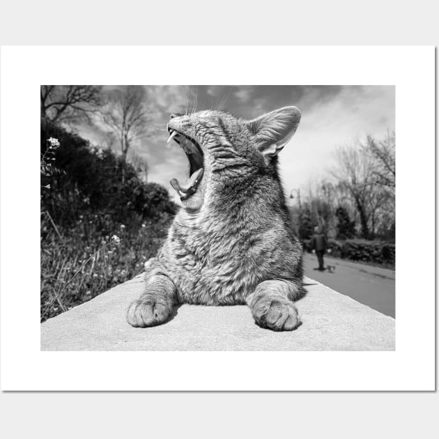 Yawning Cat in the Park Wall Art by Anastasia-03